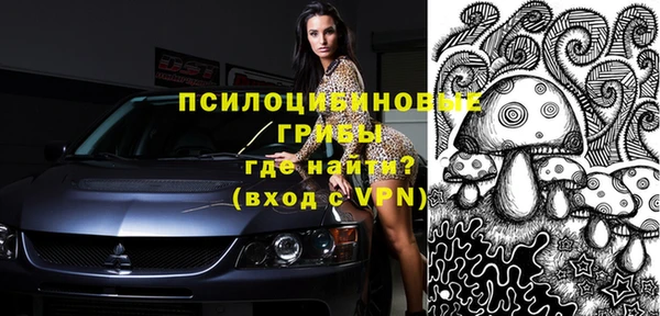 дурь Балахна