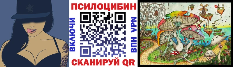 где найти наркотики Пятигорск Галлюциногенные грибы MAGIC MUSHROOMS
